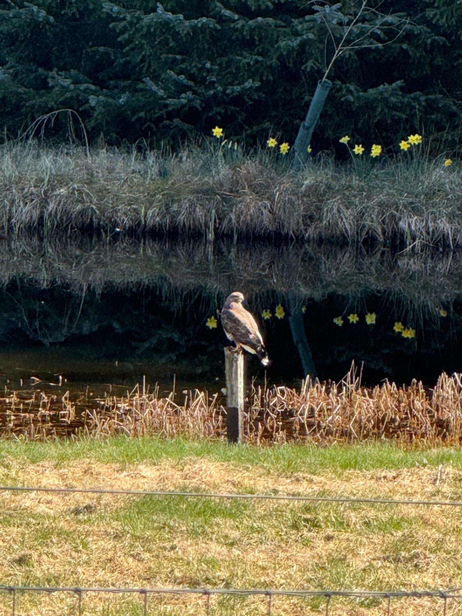 Willowbarn Rafford Self Catering Forres Dış mekan fotoğraf